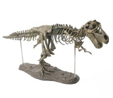 Tyrannosaurus Rex Skeleton Dinosaur PVC T Rex Animal Model Toys Collector Super Decoration